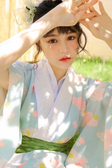 海盗2鬼怪的旗帜